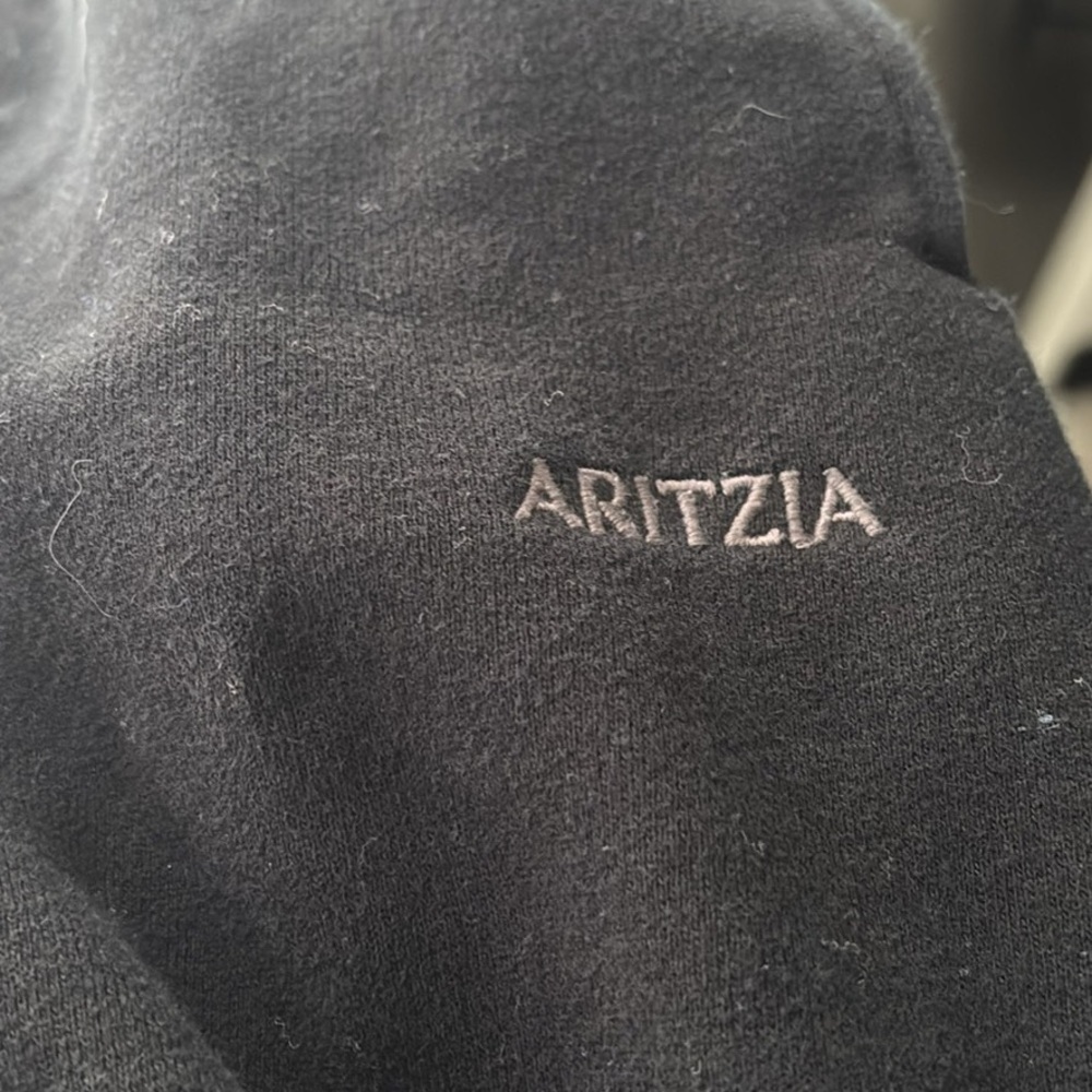 Aritzia Mega Fit Sweatfleece in Black pants